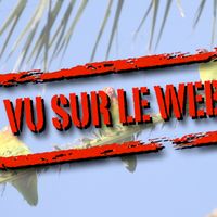 Ils cambriolent une animalerie et volent pour 15 000 euros de perruches