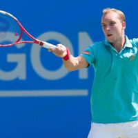 Steve Darcis