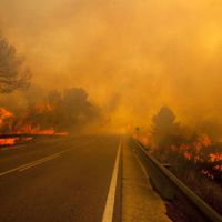 Des incendies dans la région de Valence, en Espagne