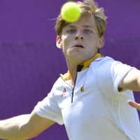 David Goffin