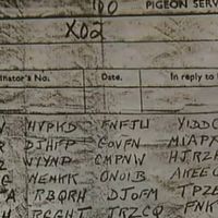 Le message du pigeon XO2 a été rétrouvé... près de 70 ans après