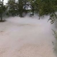 Vents des forêts