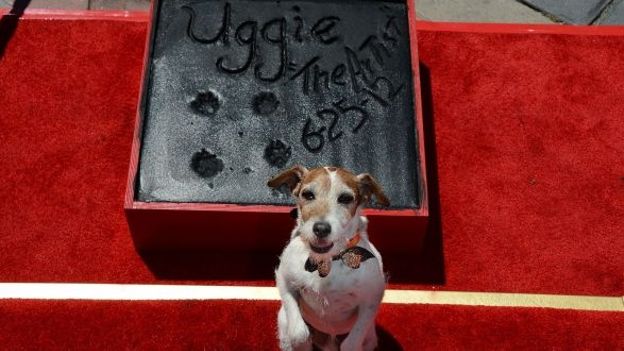 Uggie, le chien de The Artist